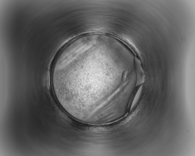 X0000088411079200706121410