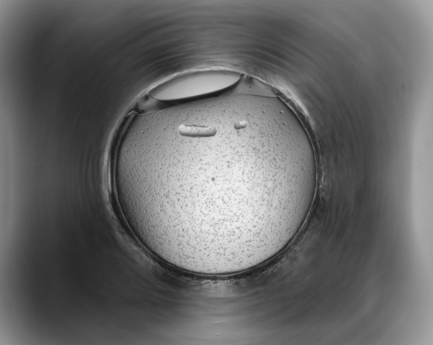 X0000088411080200706121410