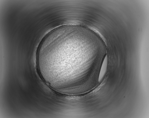 X0000088411083200706121410