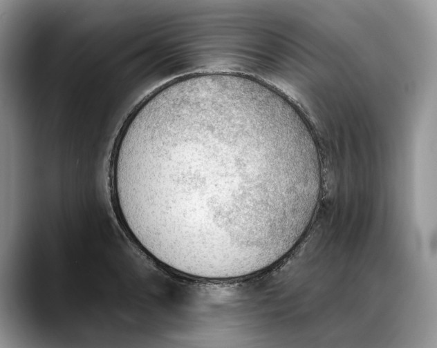 X0000088411086200706121410