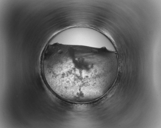 X0000088411087200706121410