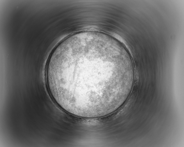 X0000088411090200706121410