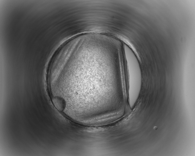 X0000088411091200706121410