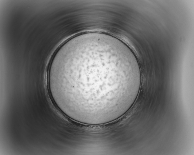 X0000088411092200706121410