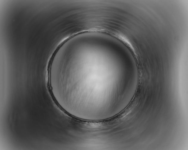 X0000088411095200706121410