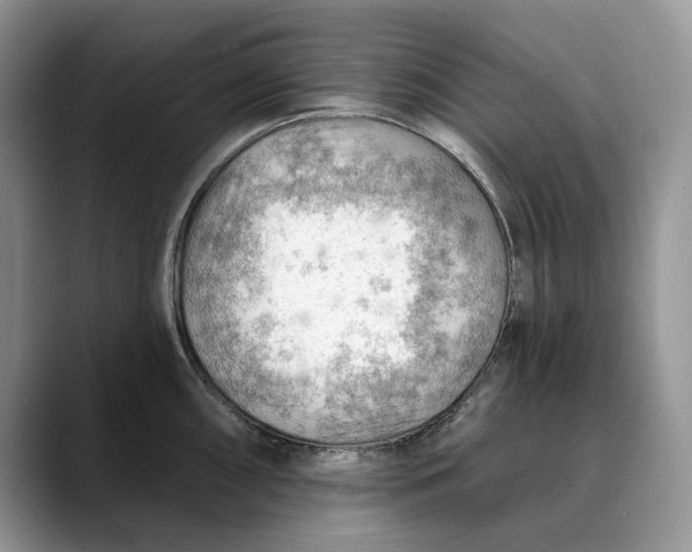 X0000088411098200706121410