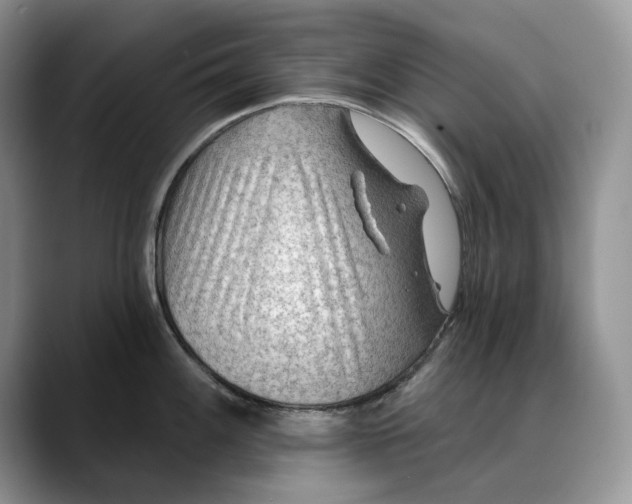 X0000088411100200706121410