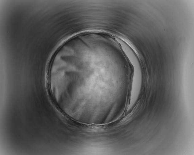 X0000088411101200706121410