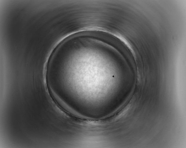 X0000088411102200706121410