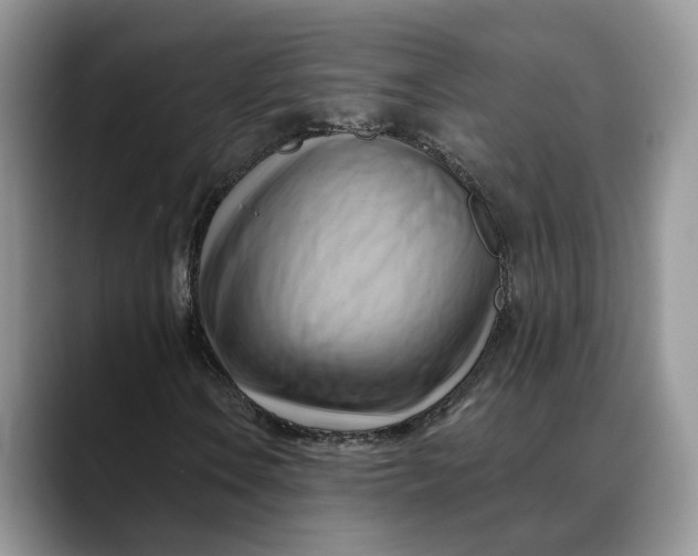 X0000088411106200706121409