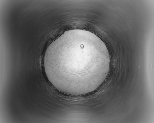 X0000088411108200706121409