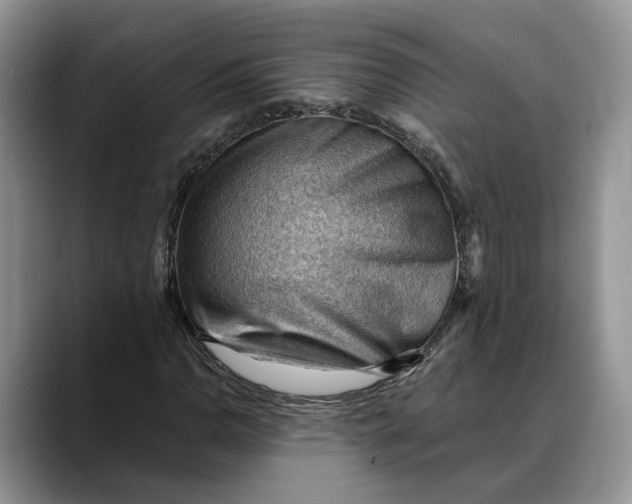 X0000088411110200706121409