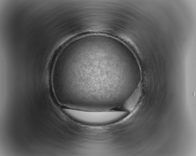 X0000088411114200706121409