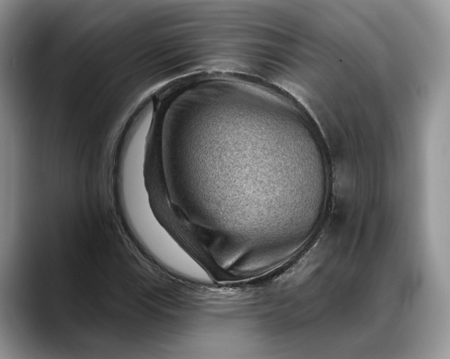 X0000088411115200706121409