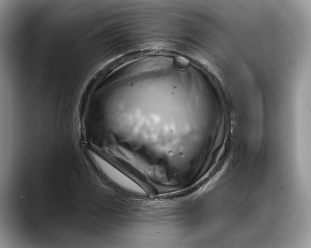 X0000088411117200706121409