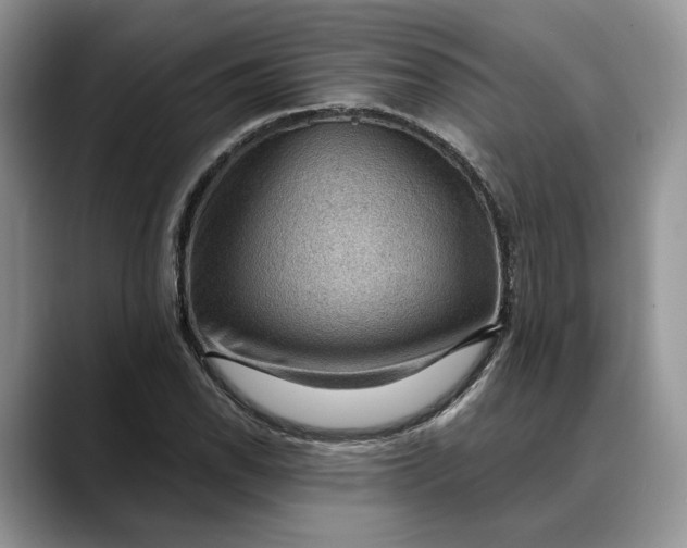 X0000088411118200706121409