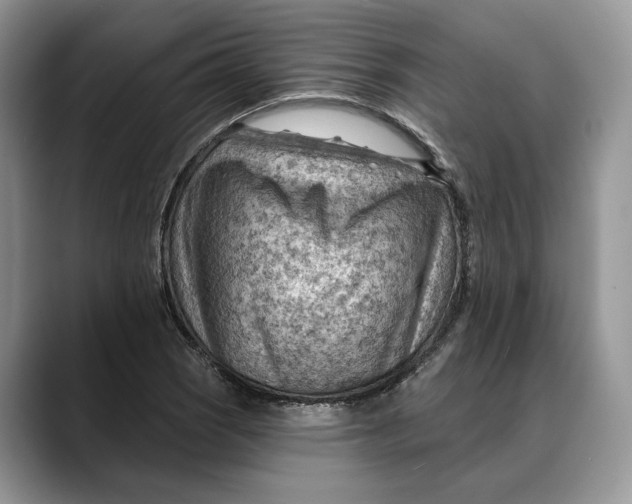 X0000088411121200706121409