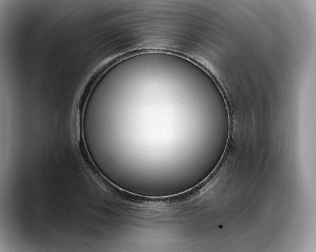 X0000088411123200706121409