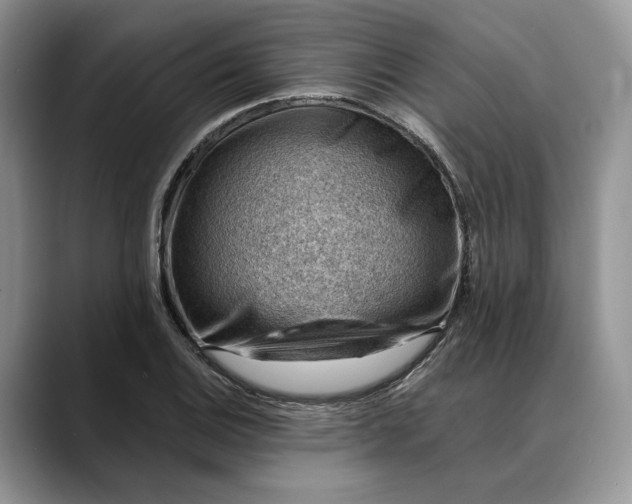 X0000088411124200706121409