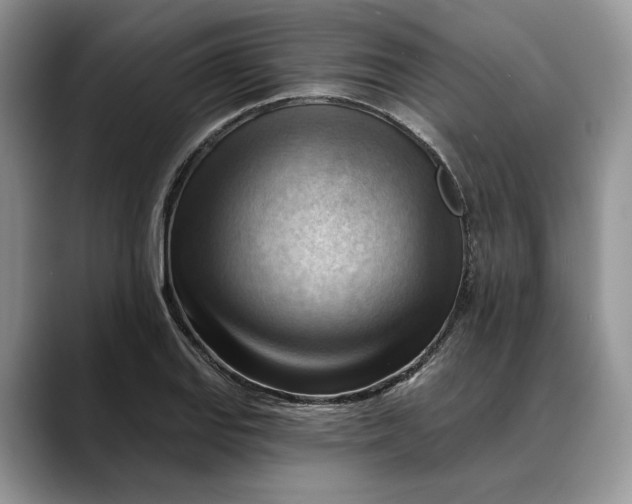 X0000088411127200706121409