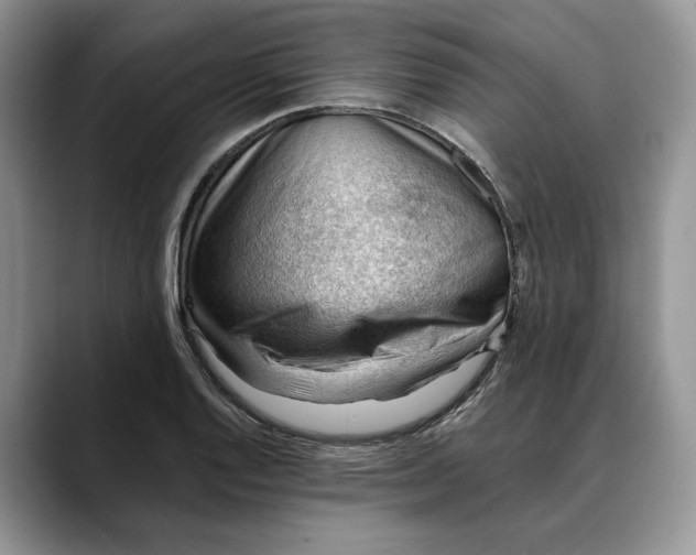 X0000088411128200706121409