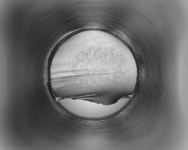 X0000088411132200706121409