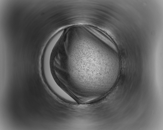 X0000088411134200706121409