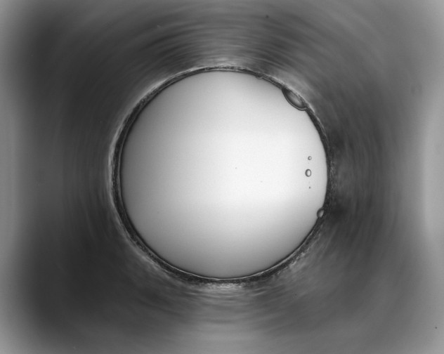 X0000088411135200706121409