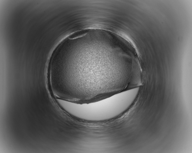 X0000088411138200706121410