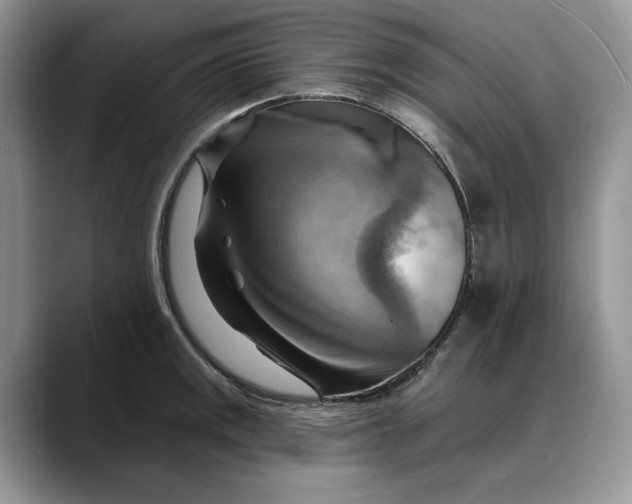 X0000088411141200706121410