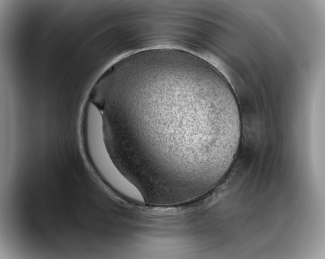 X0000088411142200706121410