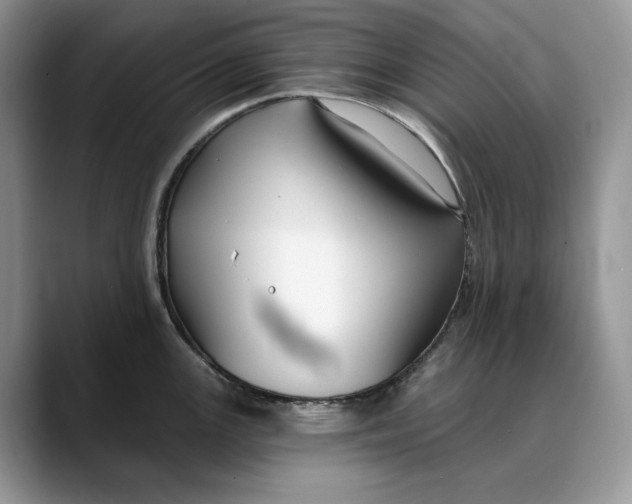 X0000088411147200706121410