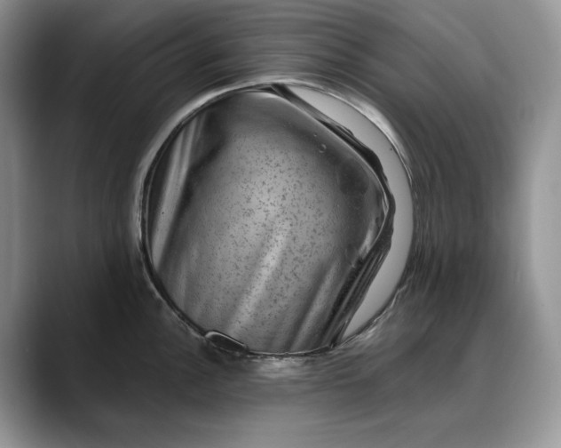 X0000088411148200706121410