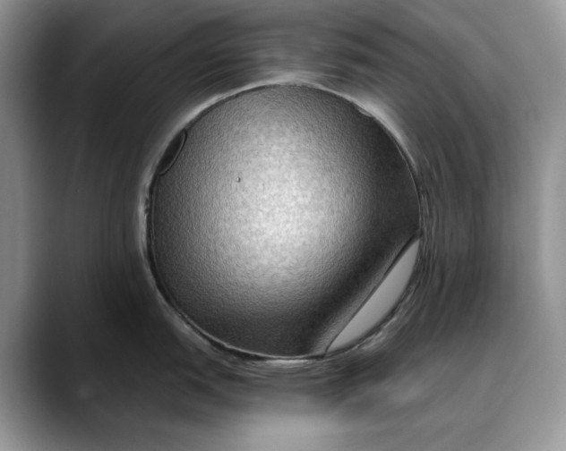 X0000088411151200706121410