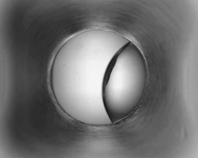 X0000088411152200706121410