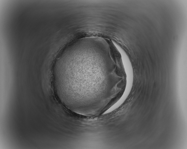 X0000088411153200706121409