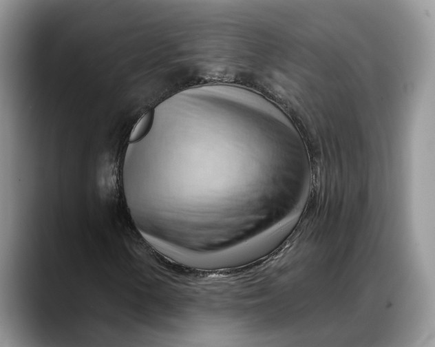 X0000088411154200706121409