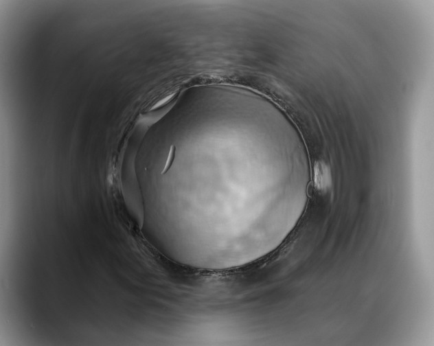 X0000088411155200706121409