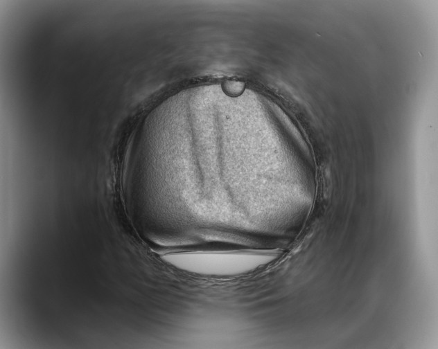 X0000088411158200706121409