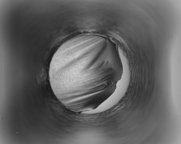 X0000088411160200706121409