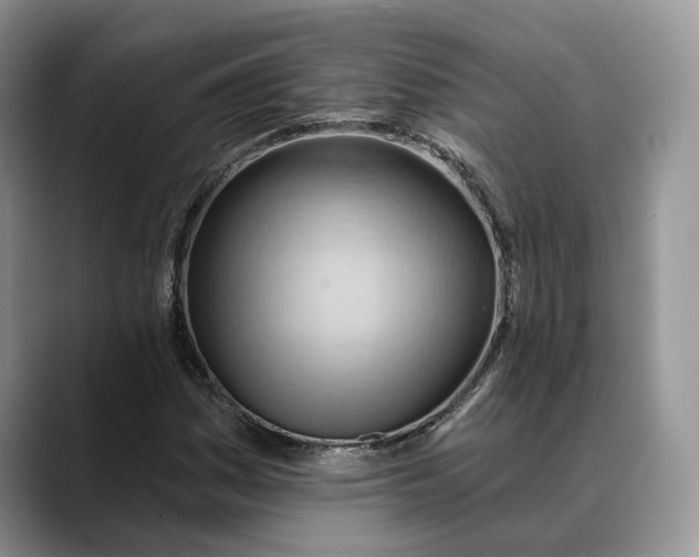 X0000088411161200706121409