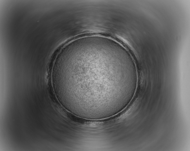 X0000088411163200706121409