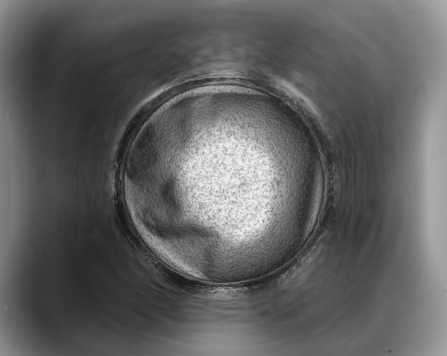 X0000088411166200706121409