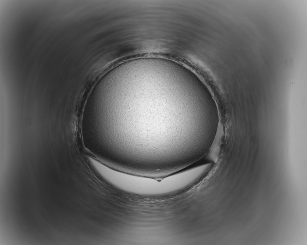 X0000088411169200706121409