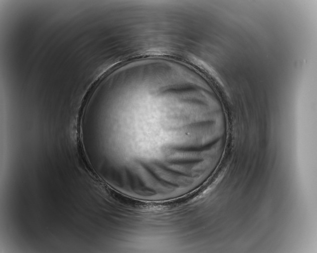 X0000088411170200706121409