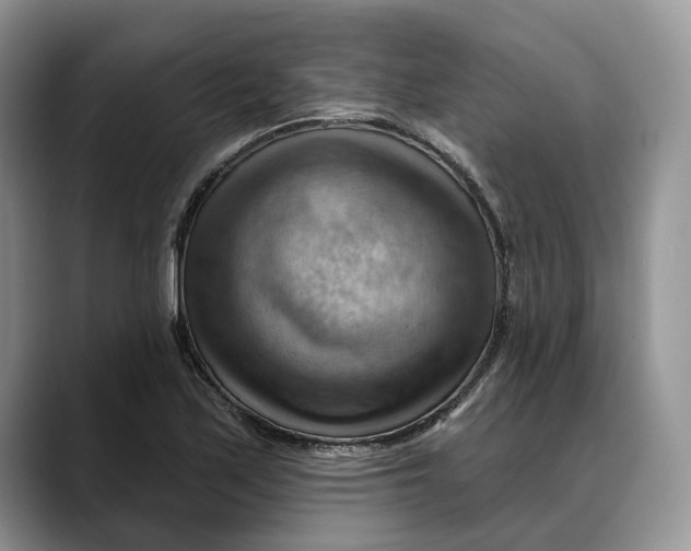 X0000088411171200706121409