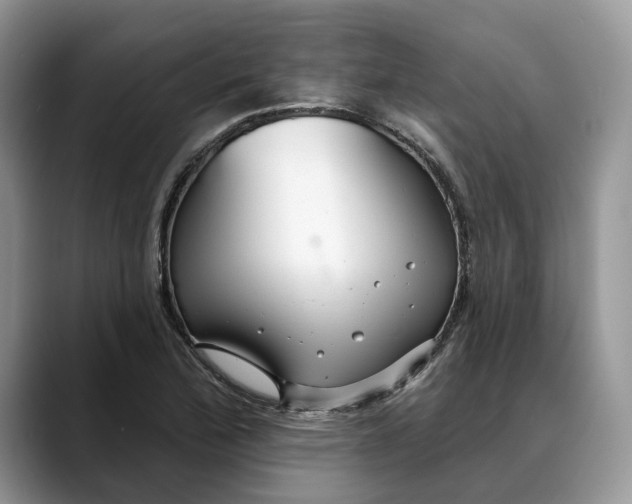 X0000088411172200706121409