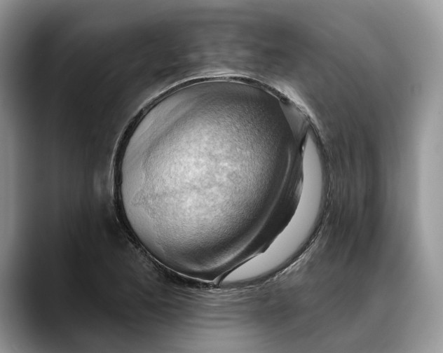 X0000088411173200706121409