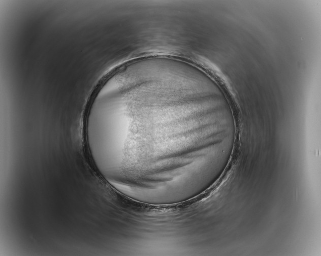 X0000088411174200706121409