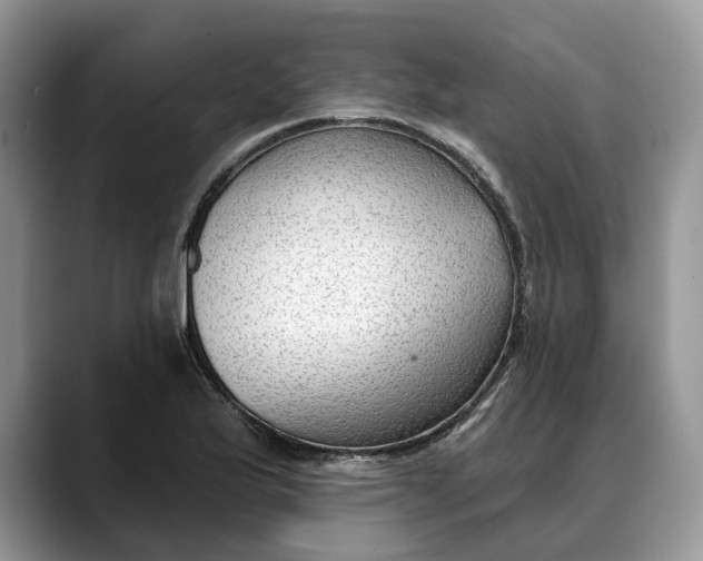 X0000088411175200706121409